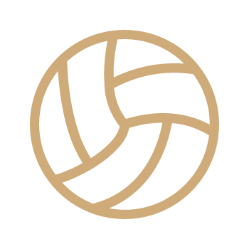 Voleibol